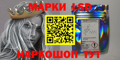 скорость Кандалакша