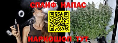 a pvp Канаш
