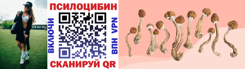 где купить наркоту  Кострома  Галлюциногенные грибы мицелий 