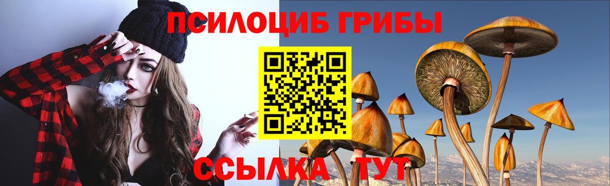 Псилоцибиновые грибы ЛСД  Вход с VPN  Кострома 